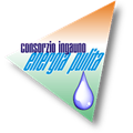 Consorzio Energia Pulita